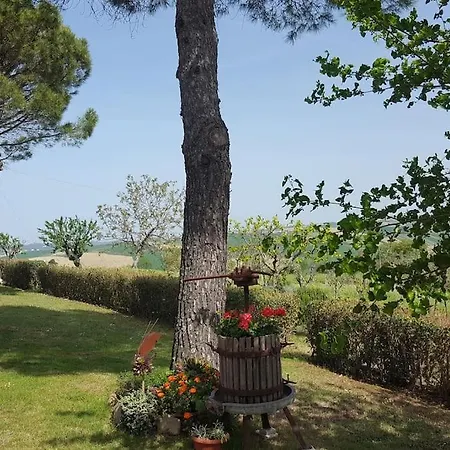 Fano Collina. La Pace Di *